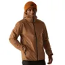 Nut brown / black