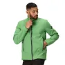 Green / jasmine green