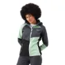 Regatta Dessoto Ix Jacke, Quiet green / seal grey