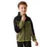 Nephrite green / black