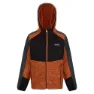 Regatta Dissolver Vi Fleece
