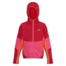 Regatta Dissolver Viii Fleece