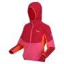 Regatta Dissolver Viii Fleece