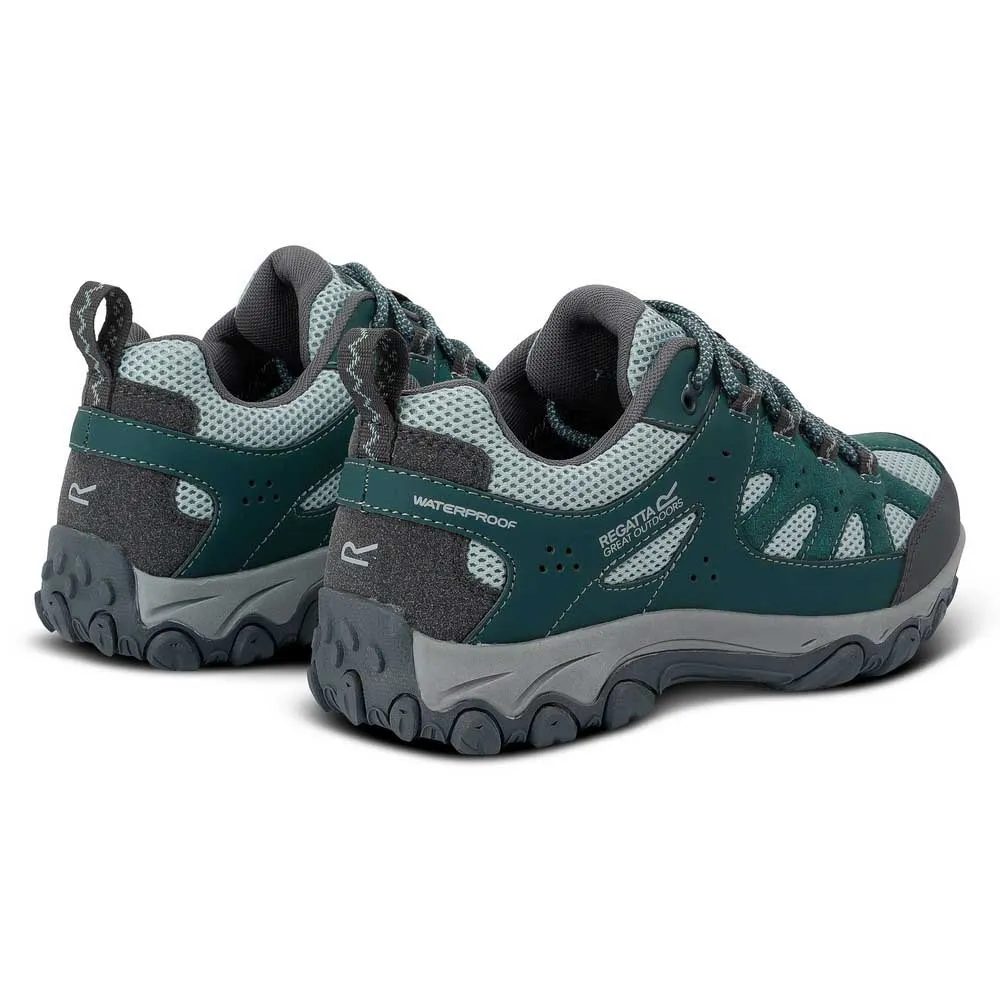 Regatta Edgepoint Iv Low Wanderschuhe Regatta Edgepoint Iv Low Wanderschuhe