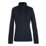 Navy / sky captain