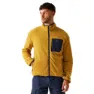 Mustard / navy