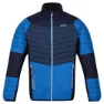 Regatta Halton Vi Jacke