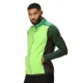 Jasmine green / field green