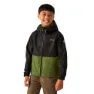 Black / nephrite green