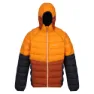 Regatta Harrock Ii Daunenjacke