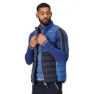 New royal / navy