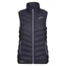 Regatta Harrock Weste, Seal grey / bl