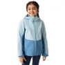 Clear sky / coronet blue