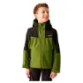 Nephrite green / black