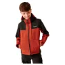 Red ochre / black