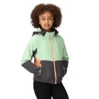 Regatta Haydenbury Softshelljacke Regatta Haydenbury Softshelljacke