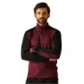 Dark maroon / black