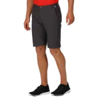 Regatta Highton Long Kurze Hose Regatta Highton Long Kurze Hose