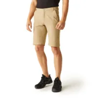 Regatta Highton Long Kurze Hose