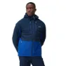 Navy / new royal