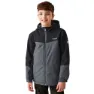 Seal grey / black