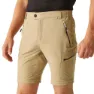 Regatta Highton Zip Off Hosen