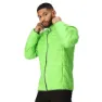 Jasmine green 1