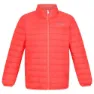Neon peach