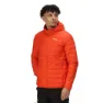 Rusty orange