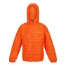 Blaze orange