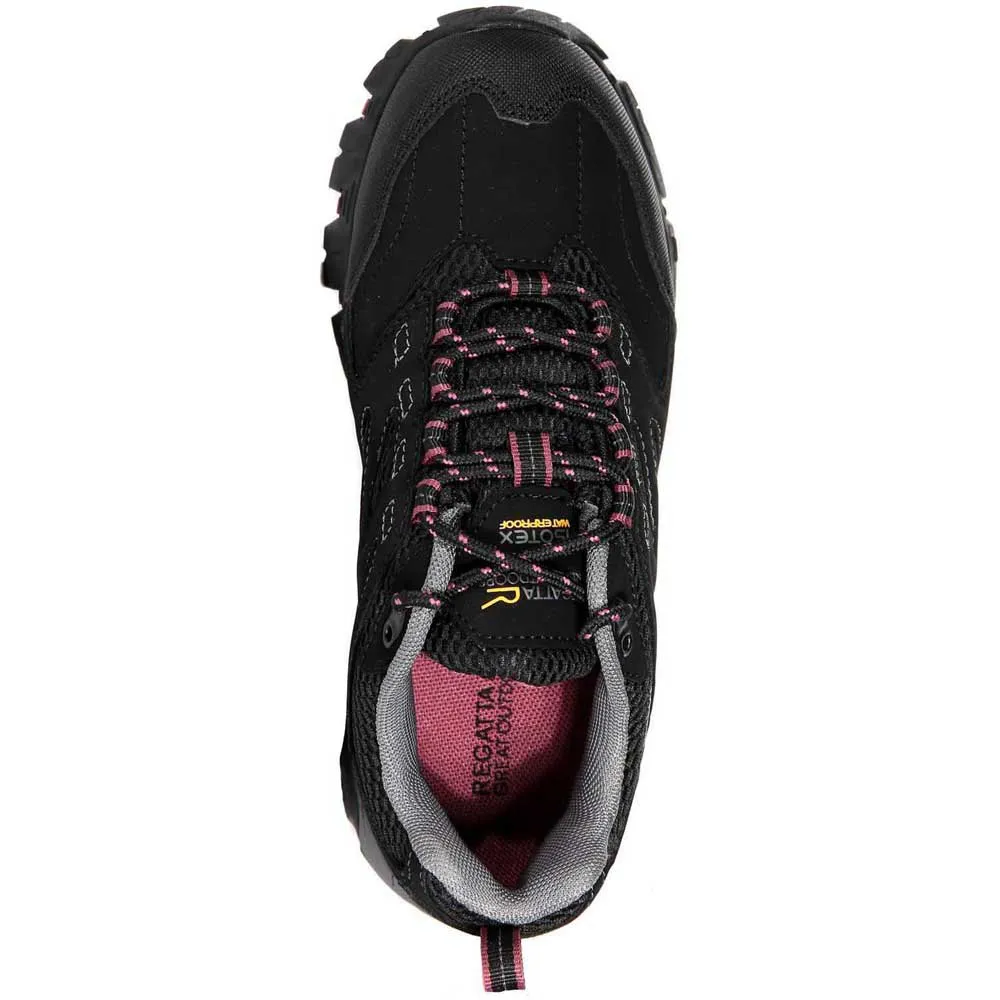 Regatta Holcombe Iep Low Wanderschuhe