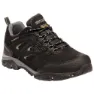 Black / granite
