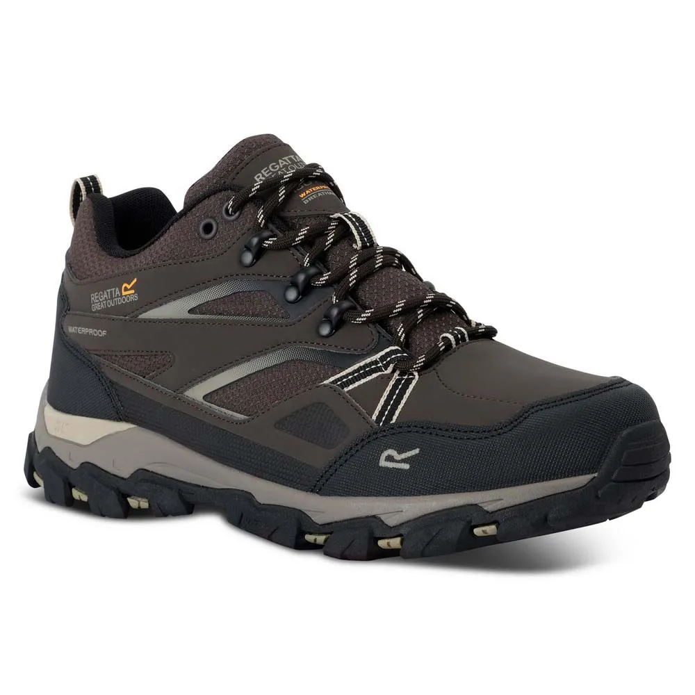 Regatta Holcombe Iii Low Wanderschuhe