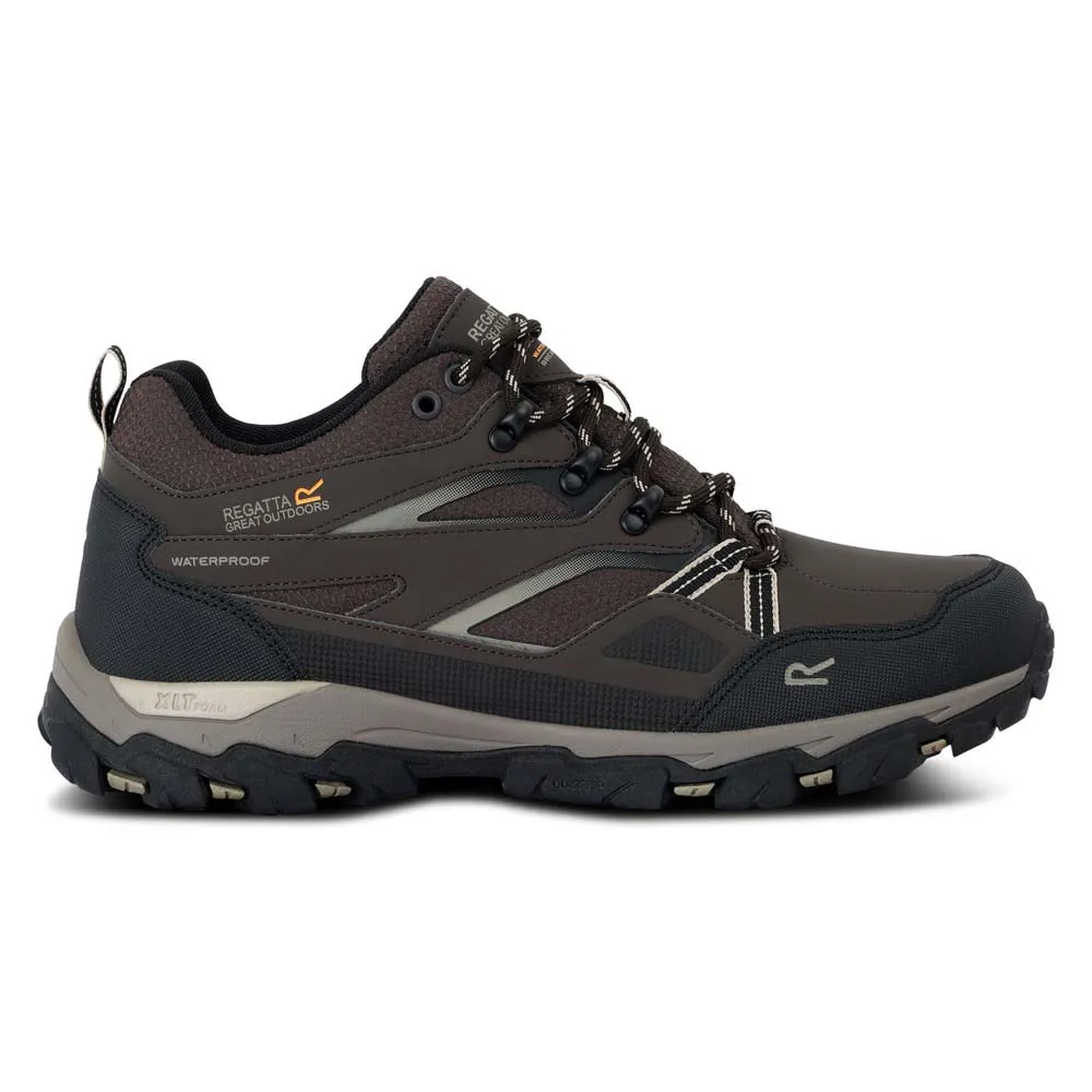 Regatta Holcombe Iii Low Wanderschuhe