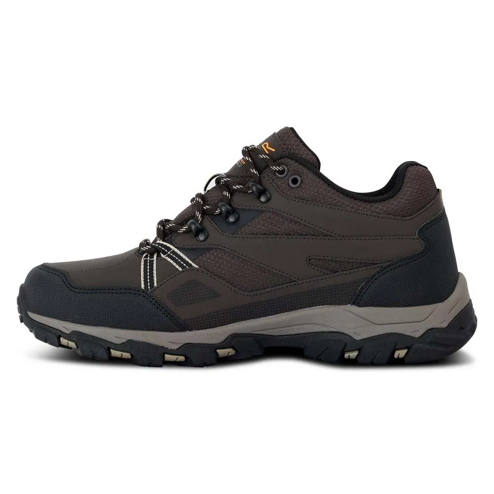 Regatta Holcombe Iii Low Wanderschuhe