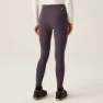 Regatta Holeen Pro Leggings