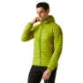 Grenoble green
