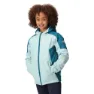 Regatta Hurdle Iv Jacke