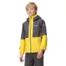 Yellow / seal grey