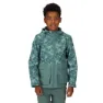 Regatta Hywell Softshelljacke
