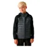 Black / sealgr
