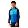 Olympic blue / elysian blue