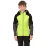 Regatta Kielder Hybrid Vi Jacke