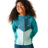 Regatta Kielder Hybrid Viii Jacke