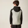 Regatta Kielder Hybrid Viii Jacke
