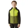 Black / citron lime