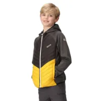 Regatta Kielder Vii Jacke