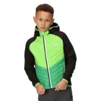 Regatta Kielder Vii Jacke Regatta Kielder Vii Jacke