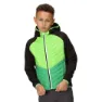 Black / jasmine green
