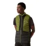 Nephrite green / black